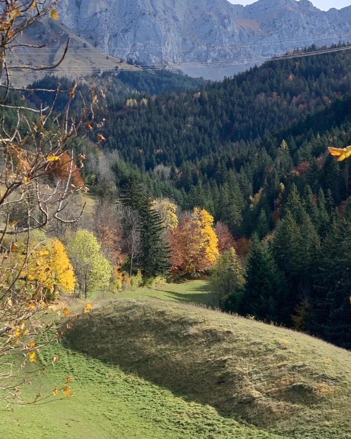 Bel Appart 3* Centre Village Villard-de-Lans Eksteriør billede